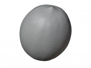 Lemon 3D Model