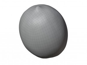 Lemon 3Dモデル