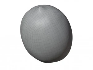 Lemon 3D Model