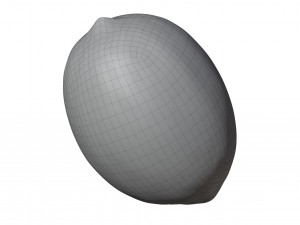 Lemon 3Dモデル