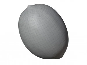 Lemon 3D Model
