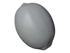 Lemon 3D Model