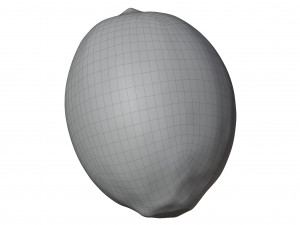 Lemon 3Dモデル