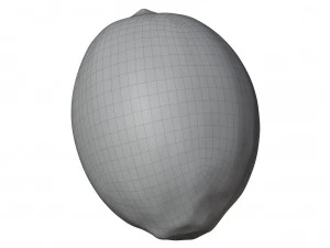 Lemon 3D Model
