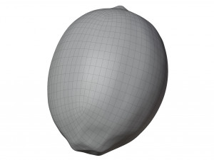 Lemon 3Dモデル
