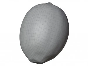 Lemon 3D Model
