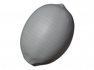 Lemon 3Dモデル