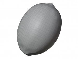Lemon 3D Model