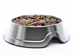 Pet Food Bowl 3D Model