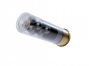 12 ga Buckshot Model 3D