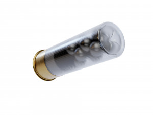 12 ga Buckshot Model 3D