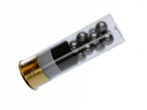 12 ga Buckshot Model 3D