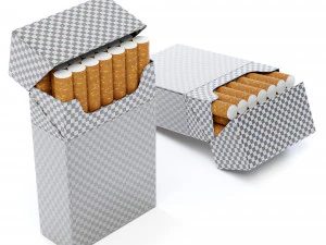 Cigarettes Pack 3D Model in Other 402253