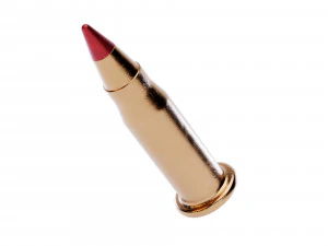 17 Hornady Mach 2 Bullet 3D Model