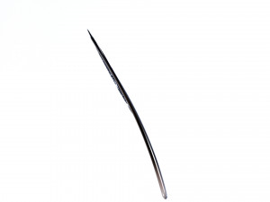 Crow Feather 3D Model