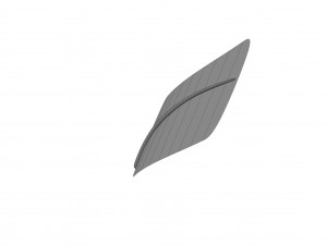 Crow Feather 3D Model