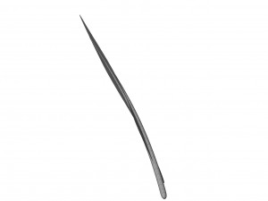 Crow Feather 3D Model