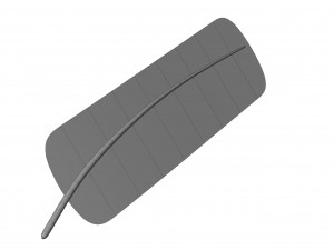Crow Feather 3D Model