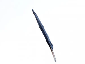 Crow Feather 3D Model
