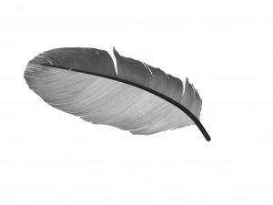 Crow Feather 3D Model