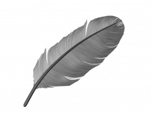 Crow Feather 3D Model