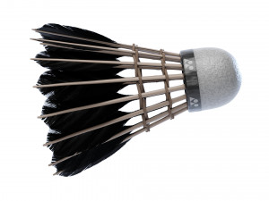 Shuttlecock 3D Model