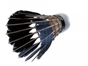 Shuttlecock 3D Model