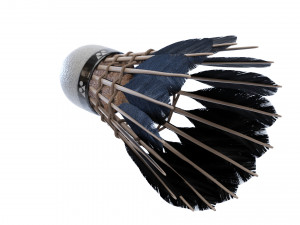 Shuttlecock 3D Model