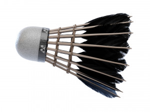Shuttlecock 3D Model