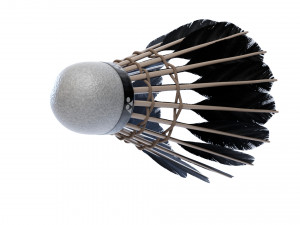 Shuttlecock 3D Model