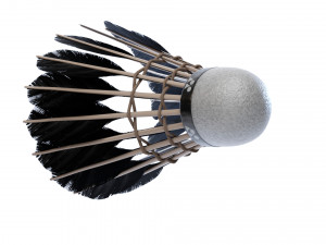 Shuttlecock 3D Model
