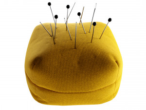 Pincushion Model 3D