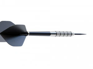 Darts 3D Model