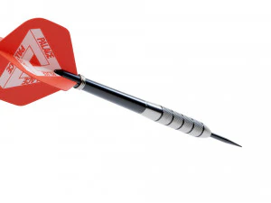 Palace x Winmau Darts 3D Model