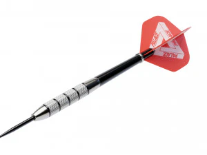 Palace x Winmau Darts 3D Model