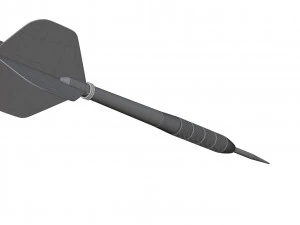 Palace x Winmau Darts 3D Model