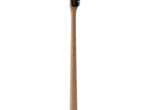 Wood Toothbrush Modèle 3D
