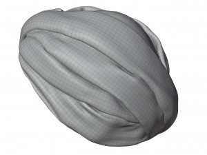Sikh Turban 3D 模型
