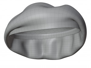 Wool Beret 3D Model