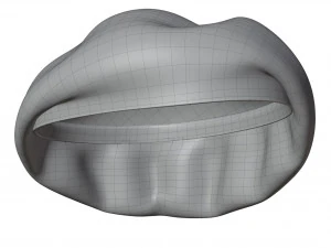 Wool Beret 3D Model