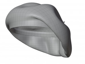 Wool Beret 3D Model