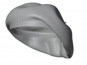 Wool Beret 3D Model