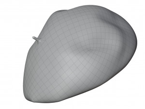 Wool Beret 3D Model