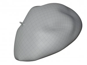 Wool Beret 3D Model