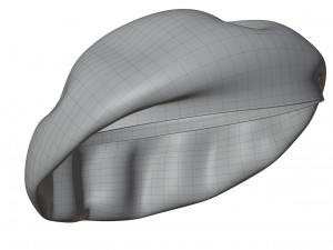 Wool Beret 3D Model