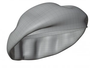 Wool Beret 3D Model