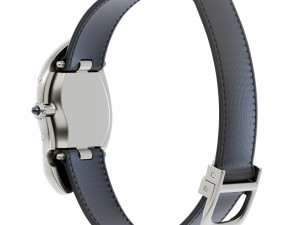 Crash Watch 3D Модель
