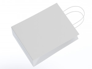 Paper Bag 3Dモデル