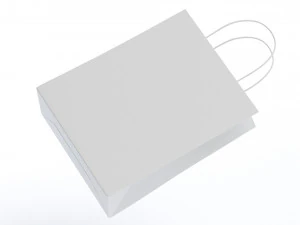 Paper Bag 3D Model