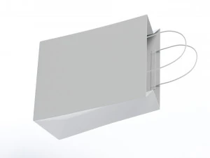 Paper Bag 3D Model